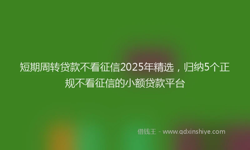 短期周转贷款不看征信2025年精选，归纳5个正规不看征信的小额贷款平台