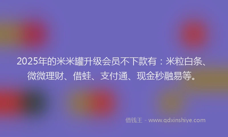 2025年的米米罐升级会员不下款有：米粒白条、微微理财、借蛙、支付通、现金秒融易等。