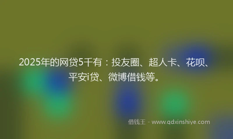 2025年的网贷5千有：投友圈、超人卡、花呗、平安i贷、微博借钱等。