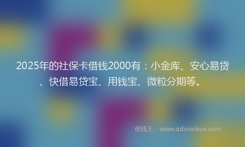 2025年的社保卡借钱2000有：小金库、安心易贷、快借易贷宝、用钱宝、微粒分期等。