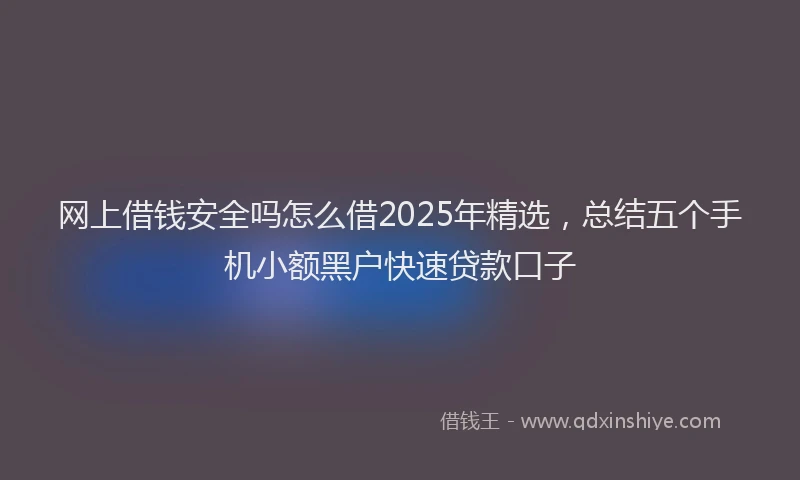 网上借钱安全吗怎么借2025年精选，总结五个手机小额黑户快速贷款口子