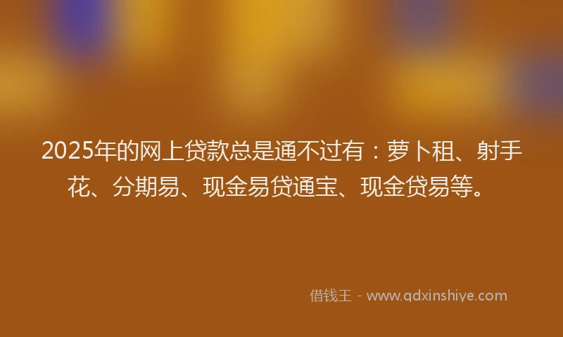 2025年的网上贷款总是通不过有：萝卜租、射手花、分期易、现金易贷通宝、现金贷易等。