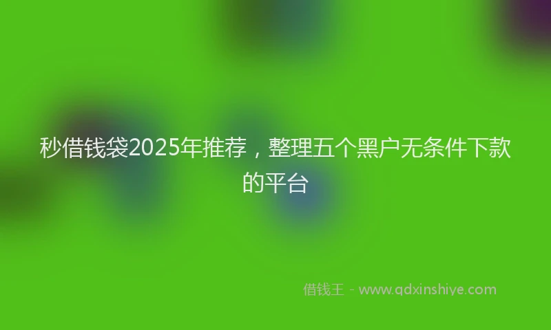 秒借钱袋2025年推荐，整理五个黑户无条件下款的平台