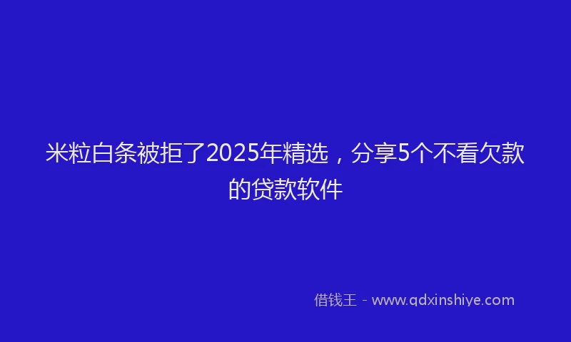 米粒白条被拒了2025年精选，分享5个不看欠款的贷款软件