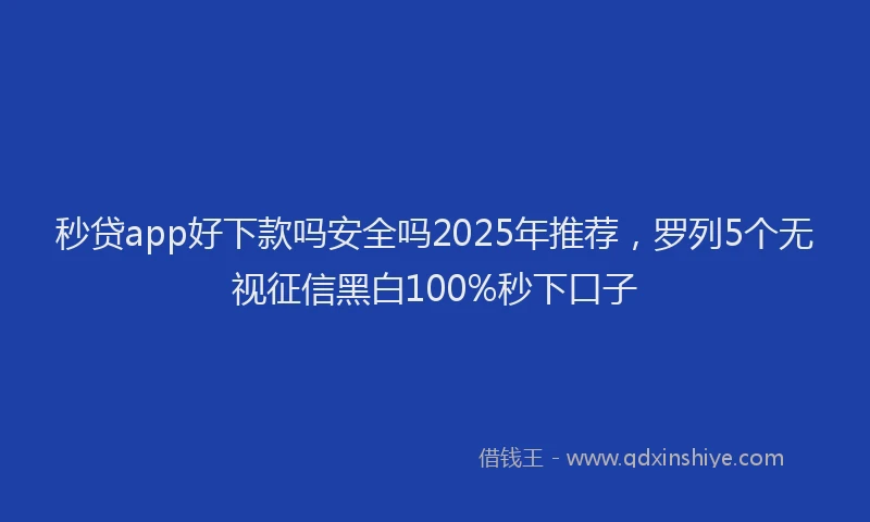 秒贷app好下款吗安全吗2025年推荐，罗列5个无视征信黑白100%秒下口子