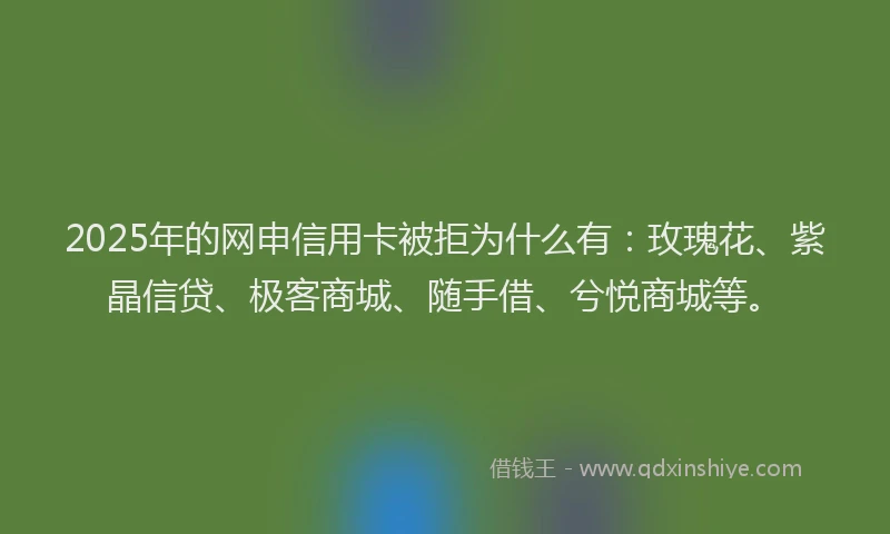 2025年的网申信用卡被拒为什么有：玫瑰花、紫晶信贷、极客商城、随手借、兮悦商城等。