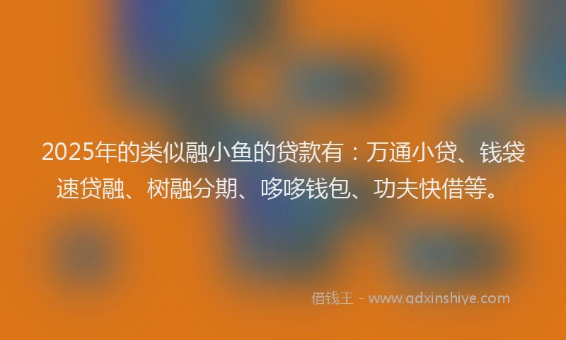 2025年的类似融小鱼的贷款有：万通小贷、钱袋速贷融、树融分期、哆哆钱包、功夫快借等。
