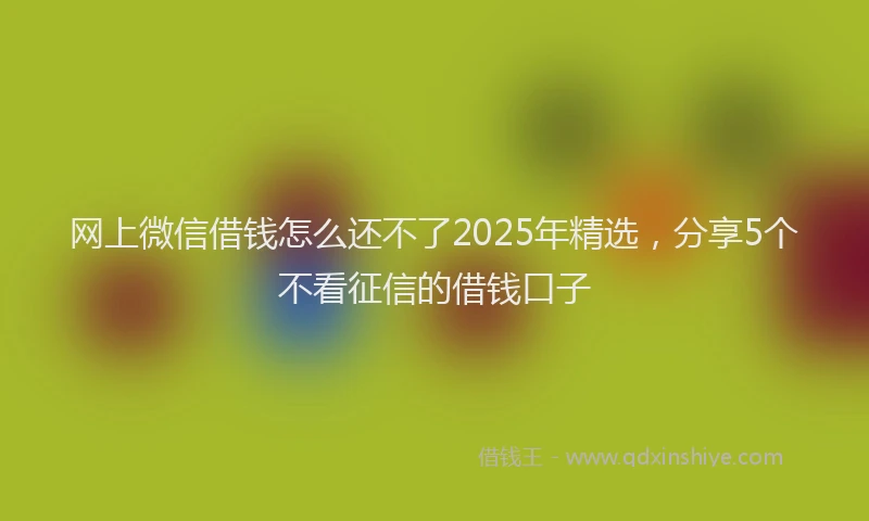 网上微信借钱怎么还不了2025年精选，分享5个不看征信的借钱口子