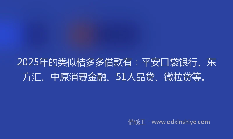 2025年的类似桔多多借款有：平安口袋银行、东方汇、中原消费金融、51人品贷、微粒贷等。