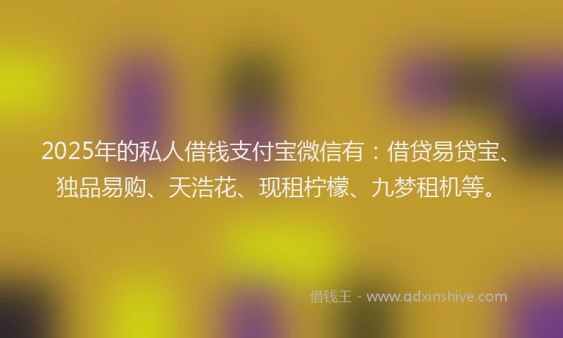 2025年的私人借钱支付宝微信有：借贷易贷宝、独品易购、天浩花、现租柠檬、九梦租机等。