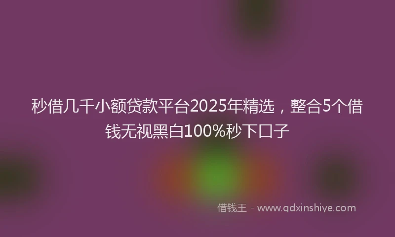 秒借几千小额贷款平台2025年精选，整合5个借钱无视黑白100%秒下口子