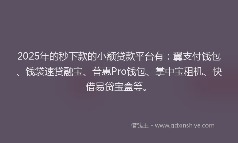 2025年的秒下款的小额贷款平台有：翼支付钱包、钱袋速贷融宝、普惠Pro钱包、掌中宝租机、快借易贷宝盒等。