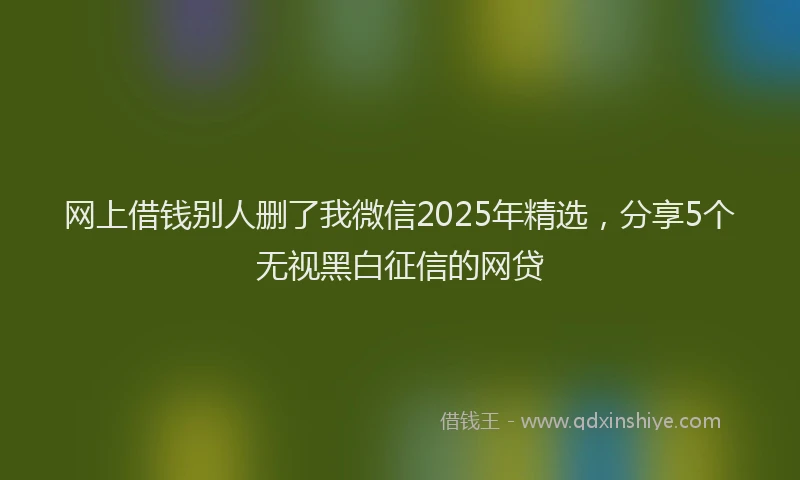 网上借钱别人删了我微信2025年精选，分享5个无视黑白征信的网贷