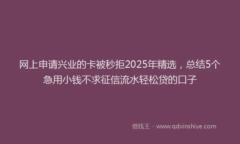 网上申请兴业的卡被秒拒2025年精选，总结5个急用小钱不求征信流水轻松贷的口子