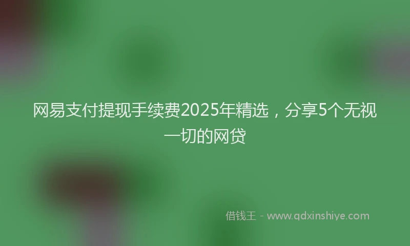 网易支付提现手续费2025年精选，分享5个无视一切的网贷