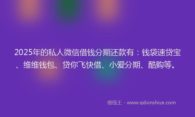 2025年的私人微信借钱分期还款有：钱袋速贷宝、维维钱包、贷你飞快借、小爱分期、酷购等。