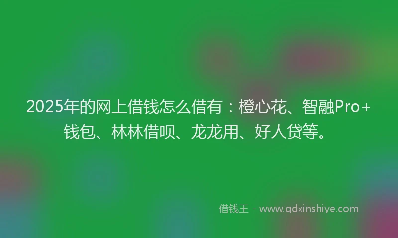 2025年的网上借钱怎么借有：橙心花、智融Pro+钱包、林林借呗、龙龙用、好人贷等。