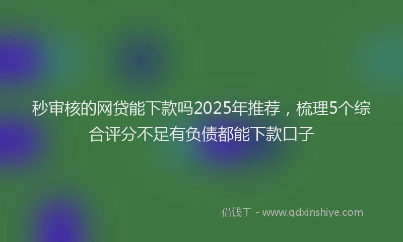 秒审核的网贷能下款吗2025年推荐，梳理5个综合评分不足有负债都能下款口子