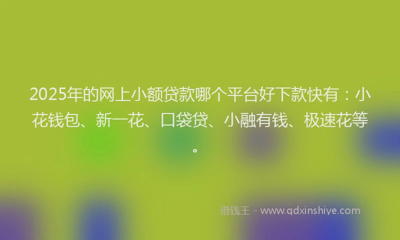 2025年的网上小额贷款哪个平台好下款快有：小花钱包、新一花、口袋贷、小融有钱、极速花等。