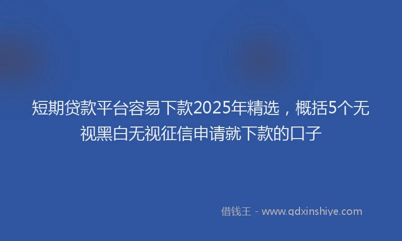 短期贷款平台容易下款2025年精选，概括5个无视黑白无视征信申请就下款的口子