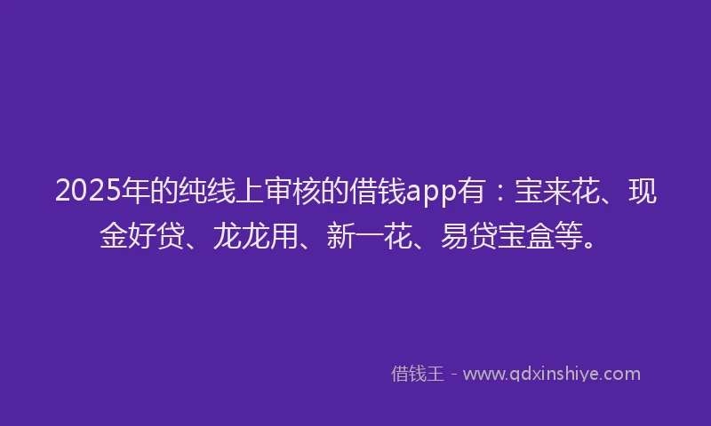 2025年的纯线上审核的借钱app有：宝来花、现金好贷、龙龙用、新一花、易贷宝盒等。