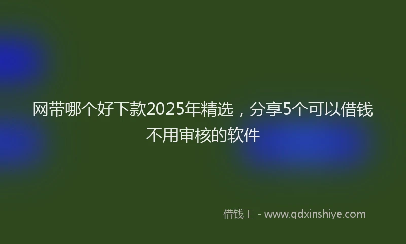 网带哪个好下款2025年精选，分享5个可以借钱不用审核的软件