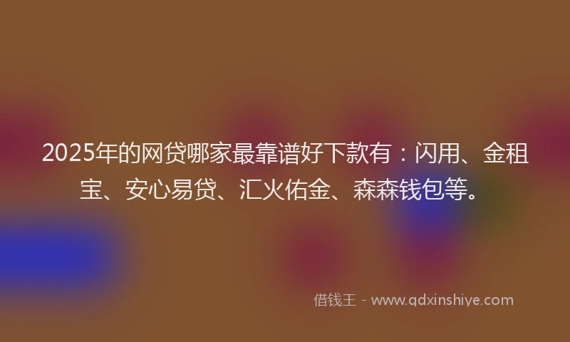 2025年的网贷哪家最靠谱好下款有：闪用、金租宝、安心易贷、汇火佑金、森森钱包等。