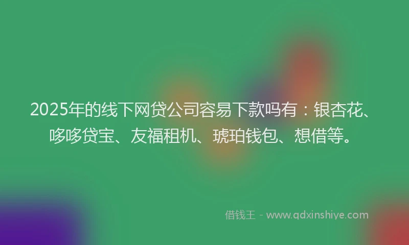 2025年的线下网贷公司容易下款吗有：银杏花、哆哆贷宝、友福租机、琥珀钱包、想借等。