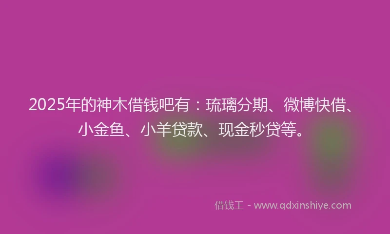 2025年的神木借钱吧有：琉璃分期、微博快借、小金鱼、小羊贷款、现金秒贷等。