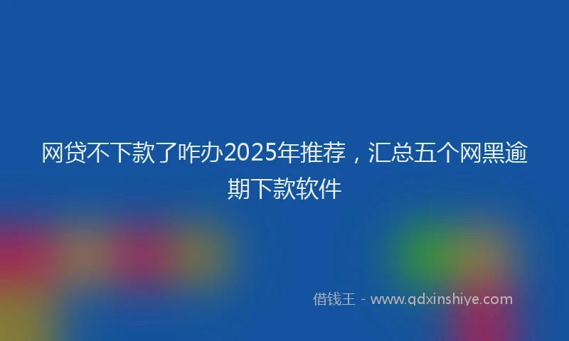 网贷不下款了咋办2025年推荐，汇总五个网黑逾期下款软件