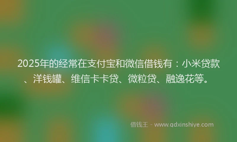 2025年的经常在支付宝和微信借钱有：小米贷款、洋钱罐、维信卡卡贷、微粒贷、融逸花等。