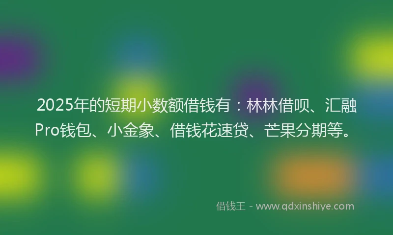 2025年的短期小数额借钱有：林林借呗、汇融Pro钱包、小金象、借钱花速贷、芒果分期等。
