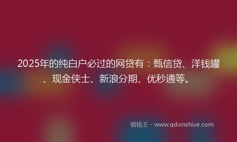 2025年的纯白户必过的网贷有：甄信贷、洋钱罐、现金侠士、新浪分期、优秒通等。