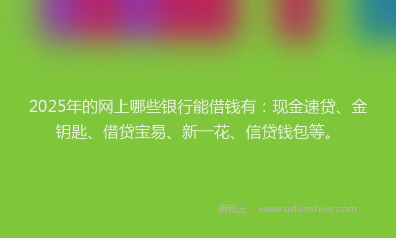 2025年的网上哪些银行能借钱有：现金速贷、金钥匙、借贷宝易、新一花、信贷钱包等。