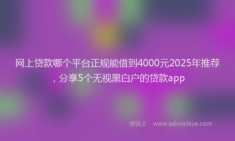 网上贷款哪个平台正规能借到4000元2025年推荐，分享5个无视黑白户的贷款app