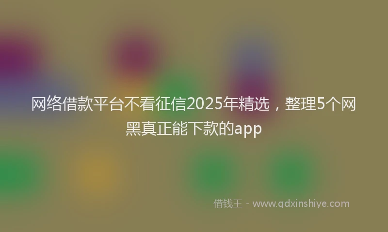 网络借款平台不看征信2025年精选，整理5个网黑真正能下款的app