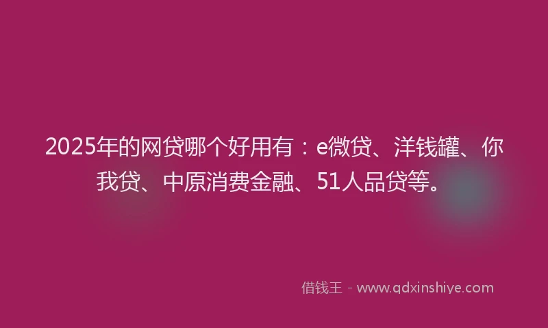 2025年的网贷哪个好用有：e微贷、洋钱罐、你我贷、中原消费金融、51人品贷等。