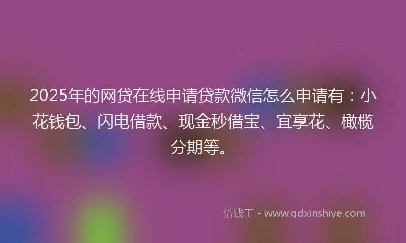 2025年的网贷在线申请贷款微信怎么申请有：小花钱包、闪电借款、现金秒借宝、宜享花、橄榄分期等。