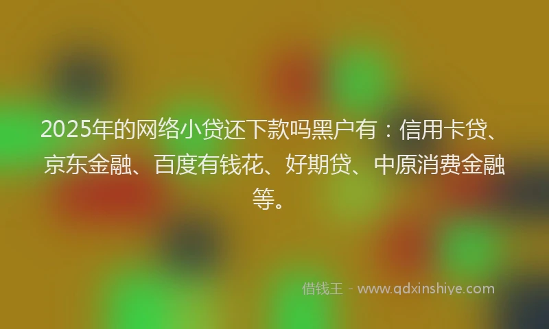 2025年的网络小贷还下款吗黑户有：信用卡贷、京东金融、百度有钱花、好期贷、中原消费金融等。