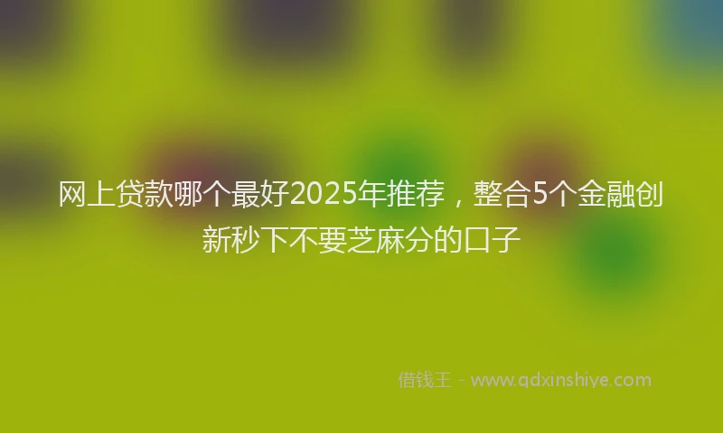 网上贷款哪个最好2025年推荐，整合5个金融创新秒下不要芝麻分的口子