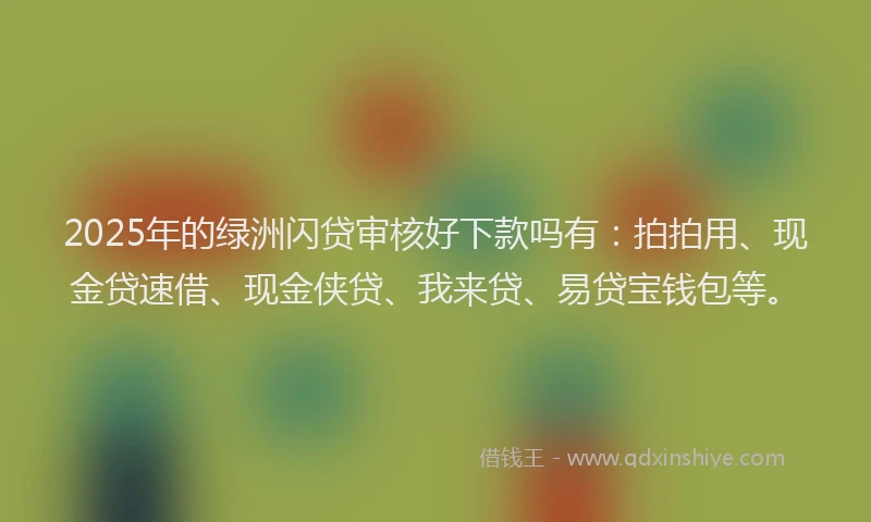 2025年的绿洲闪贷审核好下款吗有：拍拍用、现金贷速借、现金侠贷、我来贷、易贷宝钱包等。