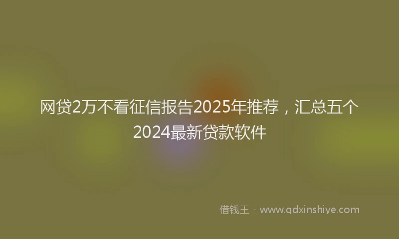 网贷2万不看征信报告2025年推荐，汇总五个2024最新贷款软件