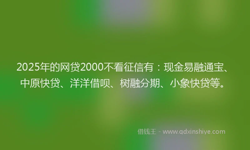 2025年的网贷2000不看征信有：现金易融通宝、中原快贷、洋洋借呗、树融分期、小象快贷等。