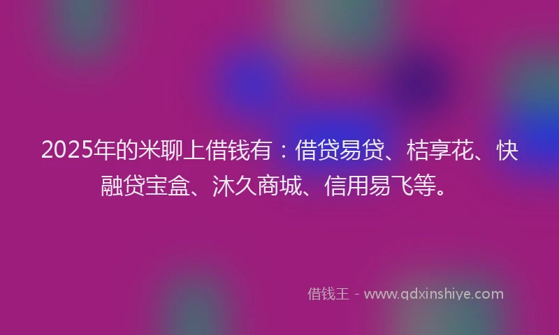 2025年的米聊上借钱有：借贷易贷、桔享花、快融贷宝盒、沐久商城、信用易飞等。