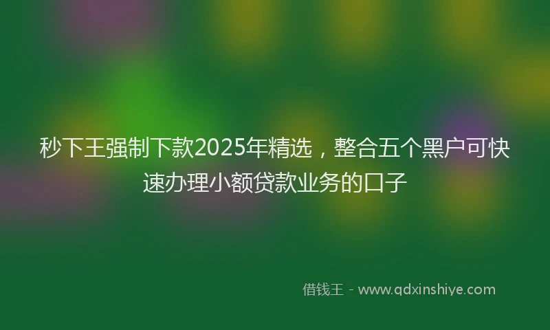 秒下王强制下款2025年精选，整合五个黑户可快速办理小额贷款业务的口子