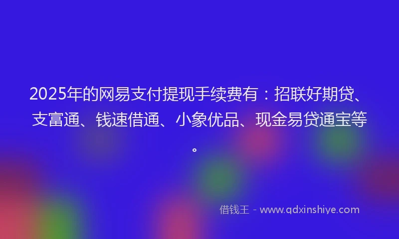2025年的网易支付提现手续费有：招联好期贷、支富通、钱速借通、小象优品、现金易贷通宝等。