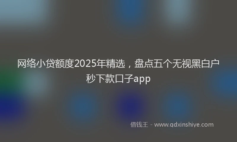 网络小贷额度2025年精选，盘点五个无视黑白户秒下款口子app
