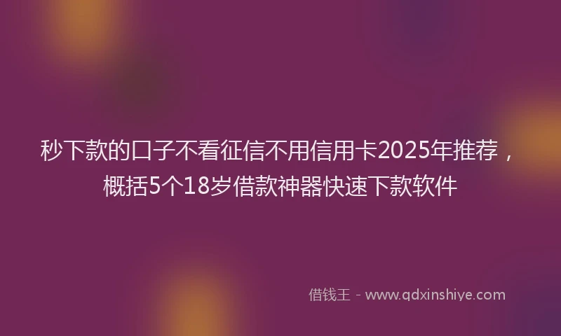秒下款的口子不看征信不用信用卡2025年推荐，概括5个18岁借款神器快速下款软件
