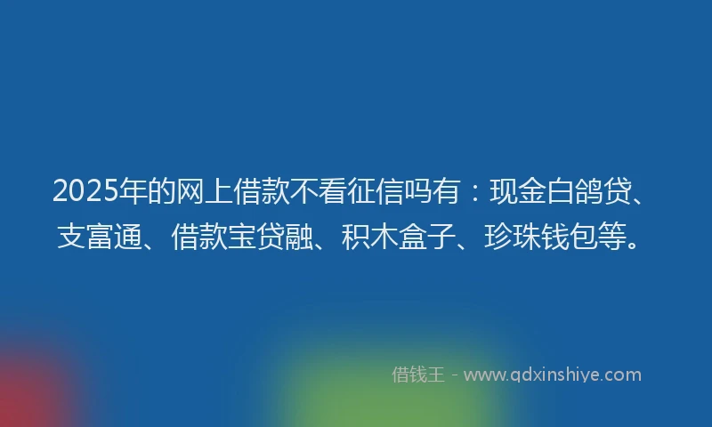 2025年的网上借款不看征信吗有：现金白鸽贷、支富通、借款宝贷融、积木盒子、珍珠钱包等。