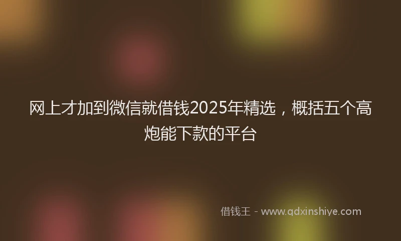 网上才加到微信就借钱2025年精选，概括五个高炮能下款的平台